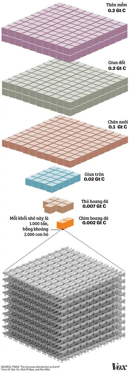 Picture 4 of All life on Earth is encapsulated in this chart: People do not account for 1%