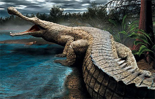 Picture 5 of Amazed the long crocodile with wagons, weighing tens of tons