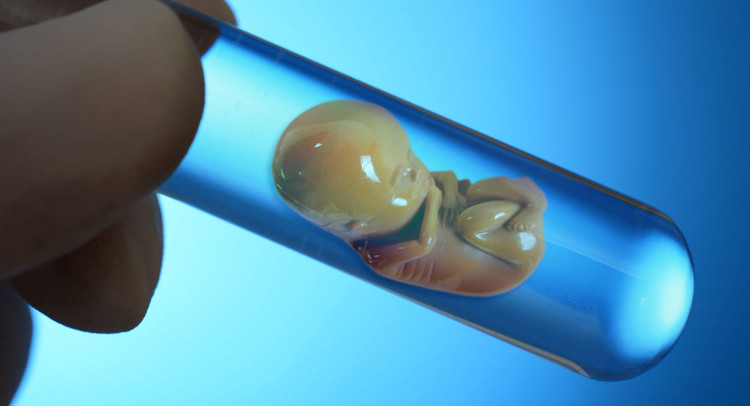 Picture 1 of Amazing baby born from a frozen embryo 14 years ago