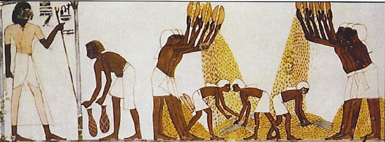 Picture 11 of Amazing facts in world history