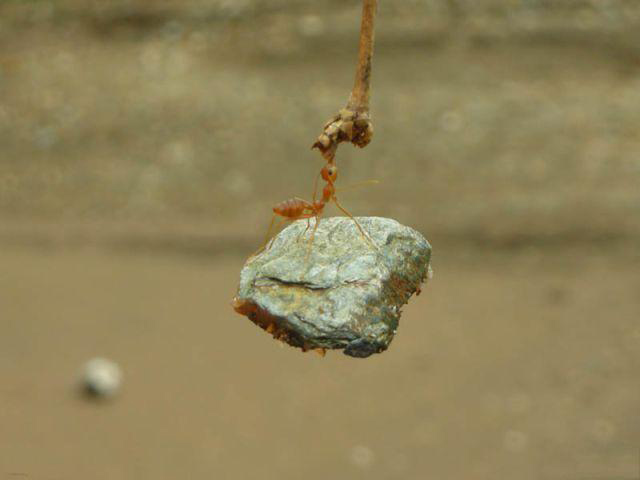 Picture 12 of Amazing images of Earth