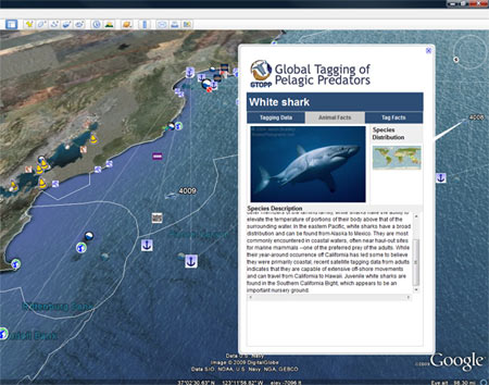 Picture 6 of Amazing ocean image on Google Earth