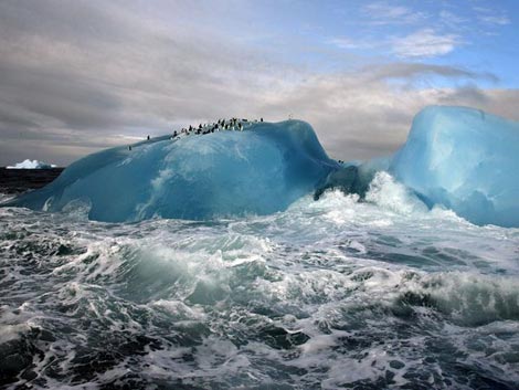 Picture 1 of Amazing spectacle on earth