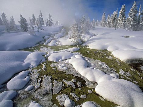 Picture 6 of Amazing spectacle on earth