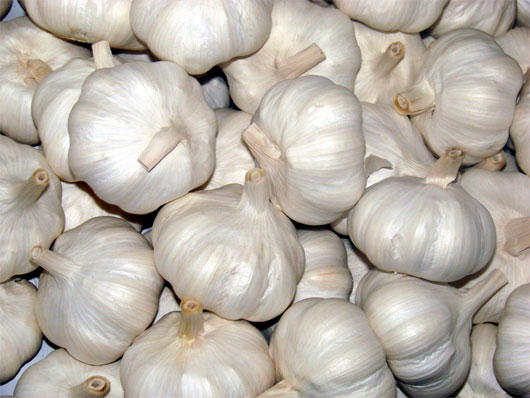 Picture 1 of Amazing use of garlic