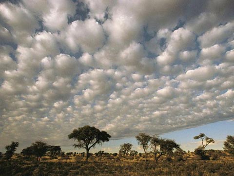 Picture 10 of Amazingly beautiful photos of clouds