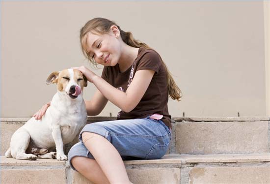 Picture 1 of Amazingly effective therapeutic animals