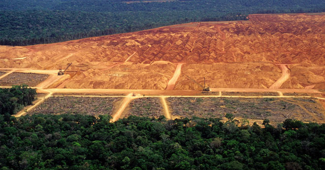 Picture 3 of Amazon forests are being destroyed at an unprecedented speed in the last 10 years