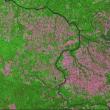Picture 2 of Amazone forest area was twice as much as the estimated figures