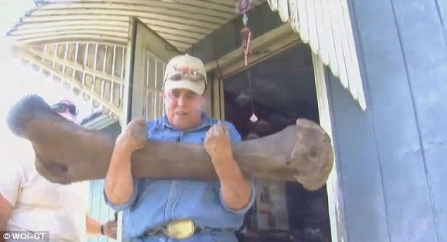 Picture 1 of America: A farmer finds the mammoth skeleton in his yard
