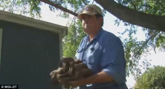 Picture 2 of America: A farmer finds the mammoth skeleton in his yard