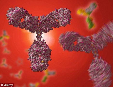 Picture 1 of America: Detecting new antibodies that treat 7 types of cancer