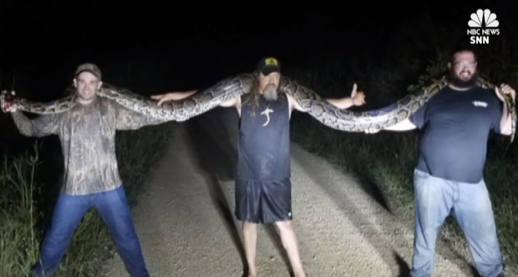 Picture 1 of America: Detecting pythons