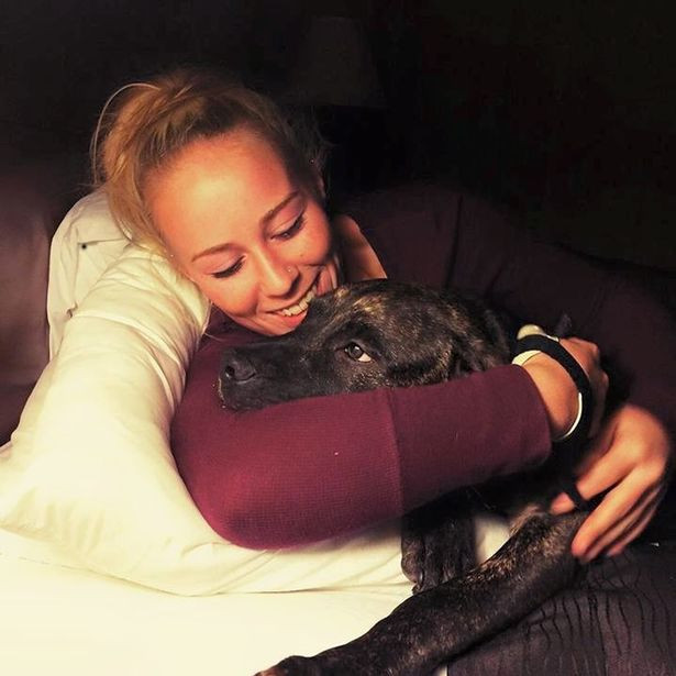 Picture 3 of America: Fearsome reasons for pit bull dogs to kill and eat host meat