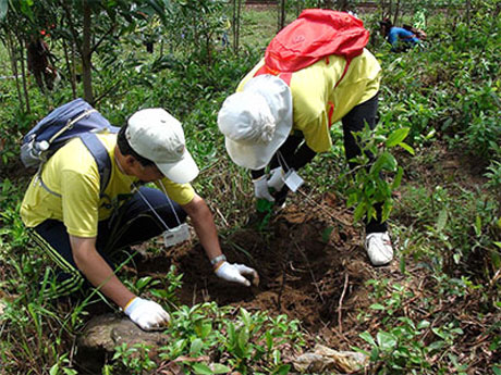 Picture 1 of America helps Vietnam fight climate change