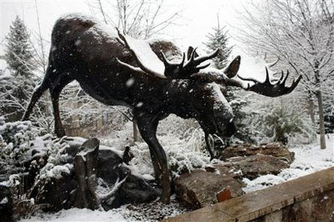 Picture 9 of America sinks in the early snowstorm