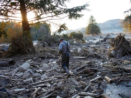 Picture 3 of America: Terrifying land, 108 people are missing