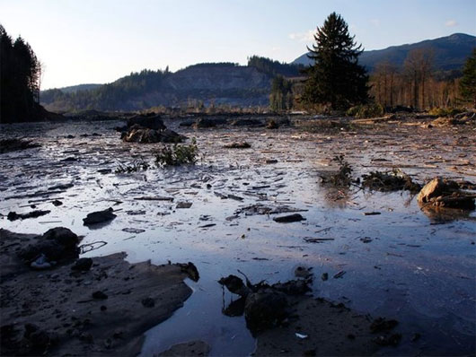 Picture 6 of America: Terrifying land, 108 people are missing