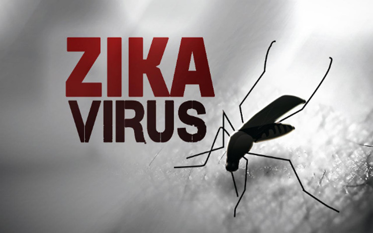 Picture 1 of America tried to successfully vaccinate against Zika virus in animals