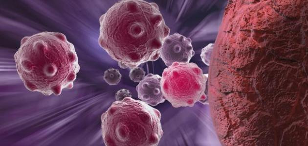 Picture 1 of American scientists have found a way to prevent cancer from spread