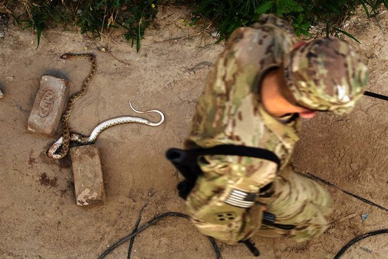 Picture 3 of American soldiers in the Middle East were terrified of poisonous snakes and scorpions
