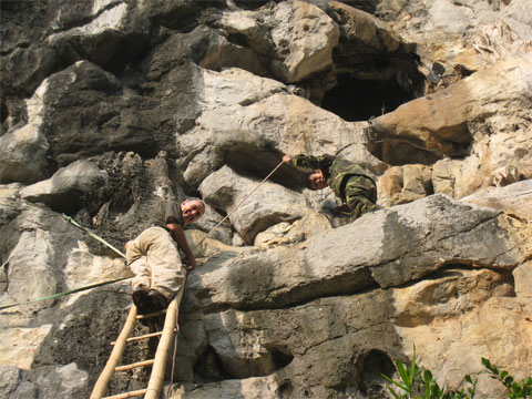 Picture 2 of An American devoted to Vietnamese langurs