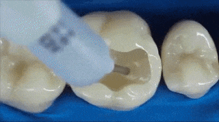 An interesting collection of explanations for why questions images 6