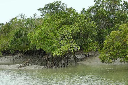 Picture 1 of An island in Asia disappeared