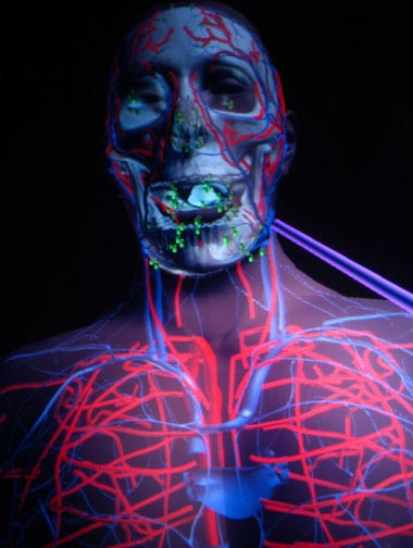 Picture 2 of Anatomy of living body in virtual space