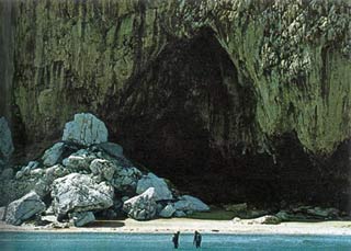 Picture 1 of Ancestral ancestors