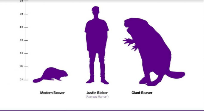 Picture 4 of Ancient 'beast' version of 4 meek modern creatures