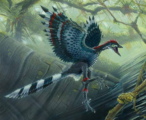 Picture 1 of Ancient birds fly with 4 wings