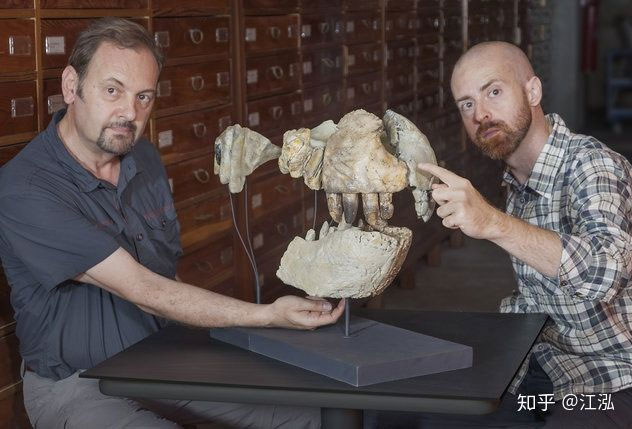 Picture 5 of Ancient crocodile: The machine of destruction is more scary than dinosaurs