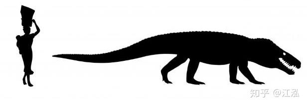 Picture 8 of Ancient crocodile: The machine of destruction is more scary than dinosaurs