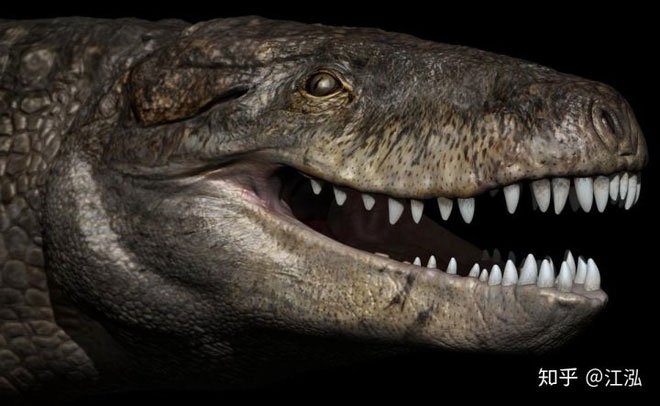 Picture 9 of Ancient crocodile: The machine of destruction is more scary than dinosaurs