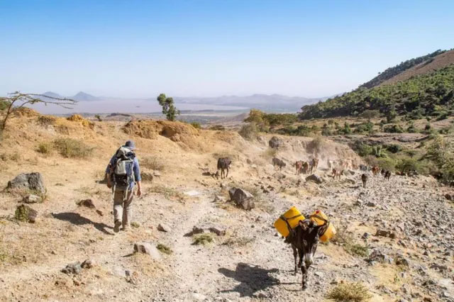 Picture 1 of Ancient East African stones provide a clue about rare volcanoes