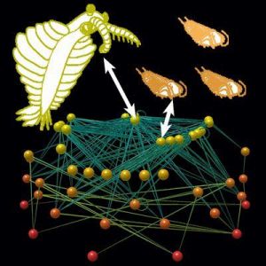 Picture 1 of Ancient ecosystem is very similar to today's ecosystem