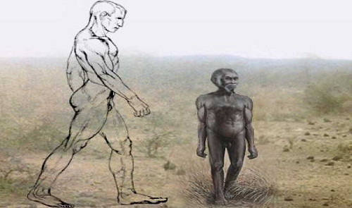Picture 1 of Ancient elves were once tall