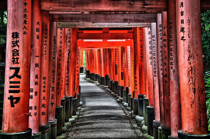 Picture 7 of Ancient Kyoto - World Cultural Heritage in Japan