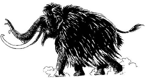 Picture 2 of Ancient long-haired mammoths