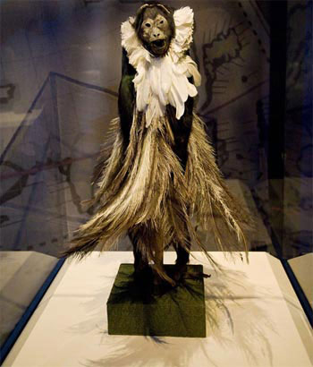Picture 6 of Ancient mummies