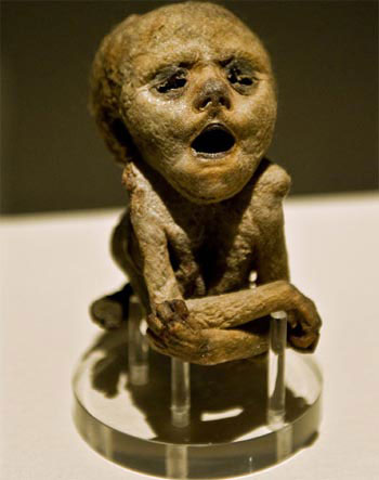 Picture 7 of Ancient mummies