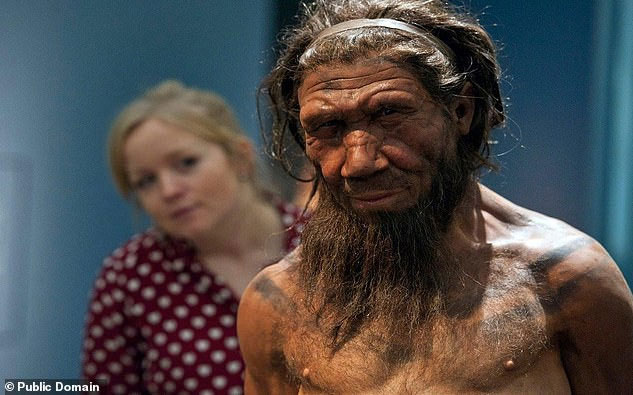 Picture 1 of Ancient remains reveal our 'fishman' ancestors