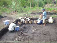 Picture 1 of Ancient village for two thousand years in Dong Thap Muoi
