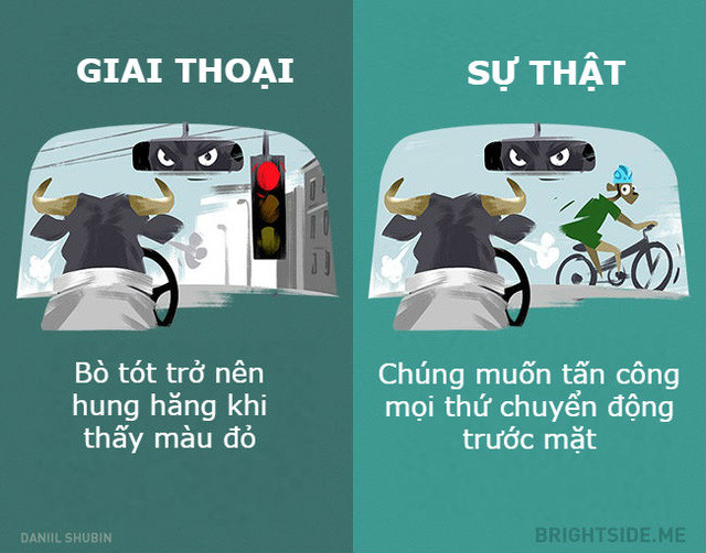 Picture 9 of Anecdotes should not believe other animals