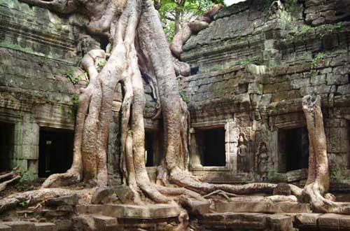 Picture 3 of Angkor, the home of gods