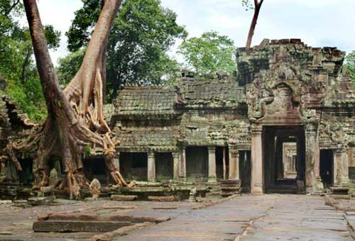 Picture 5 of Angkor, the home of gods