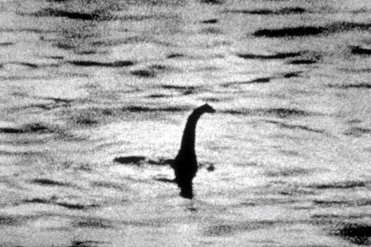 Picture 4 of Animal corpses washed ashore on Loch Ness, suspected of being a legendary monster