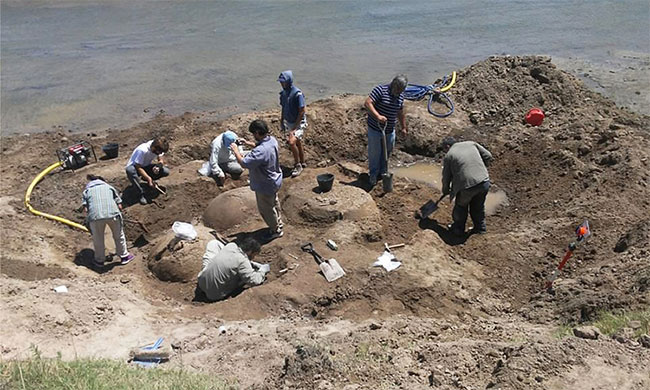 Picture 2 of Animal fossils discovered 20,000 years old