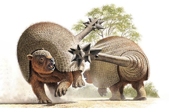 Picture 3 of Animal fossils discovered 20,000 years old